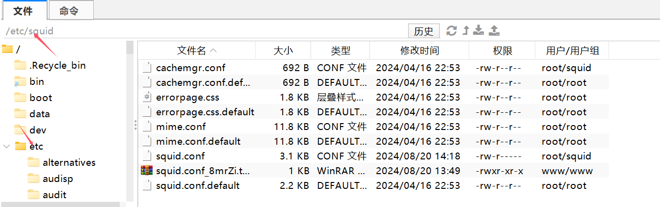 图片[1]-IPV6windows服务器使用Squid访问IPV4网页-良生网