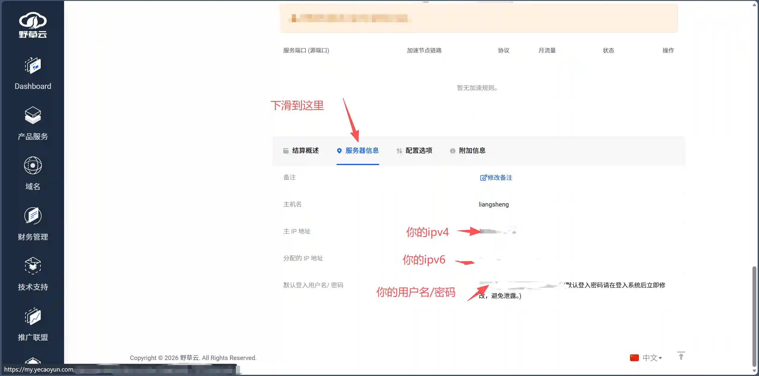 图片[5]-从零开始的网络奇幻之旅：带你建立并飞速提升你的网站-良生网